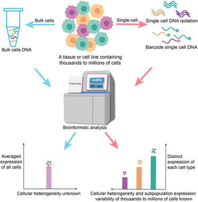 Frontiers Single Cell Omics A New Direction For Functional Genetic